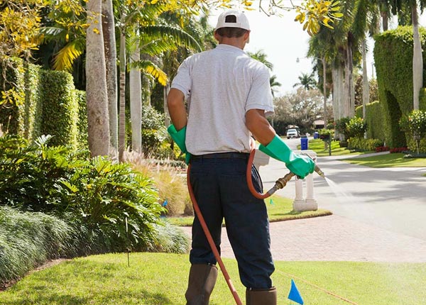 About Pleasantville OH Pest Control